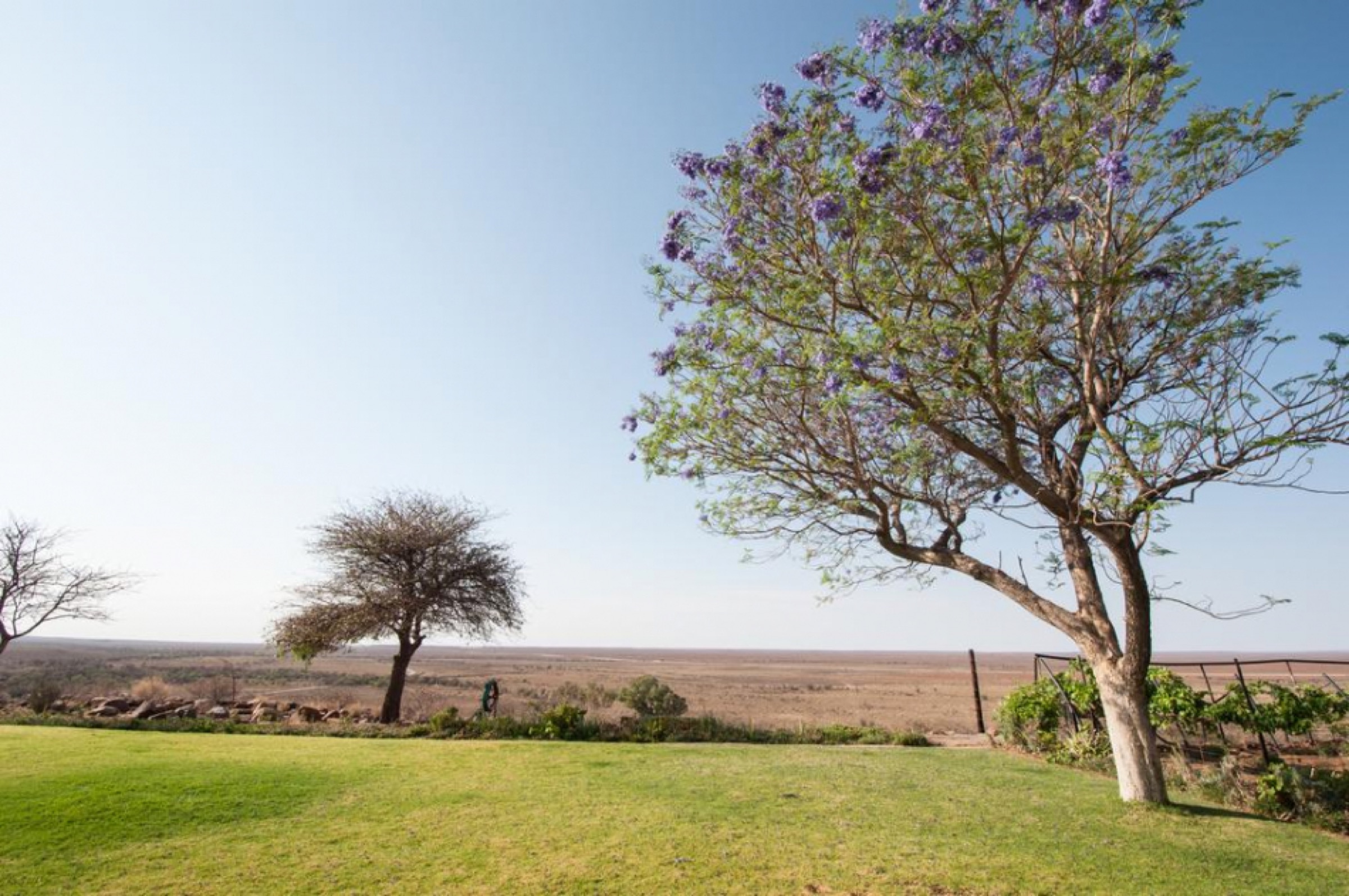 Garden trees opening onto the wide landscape at Gamis Farm
