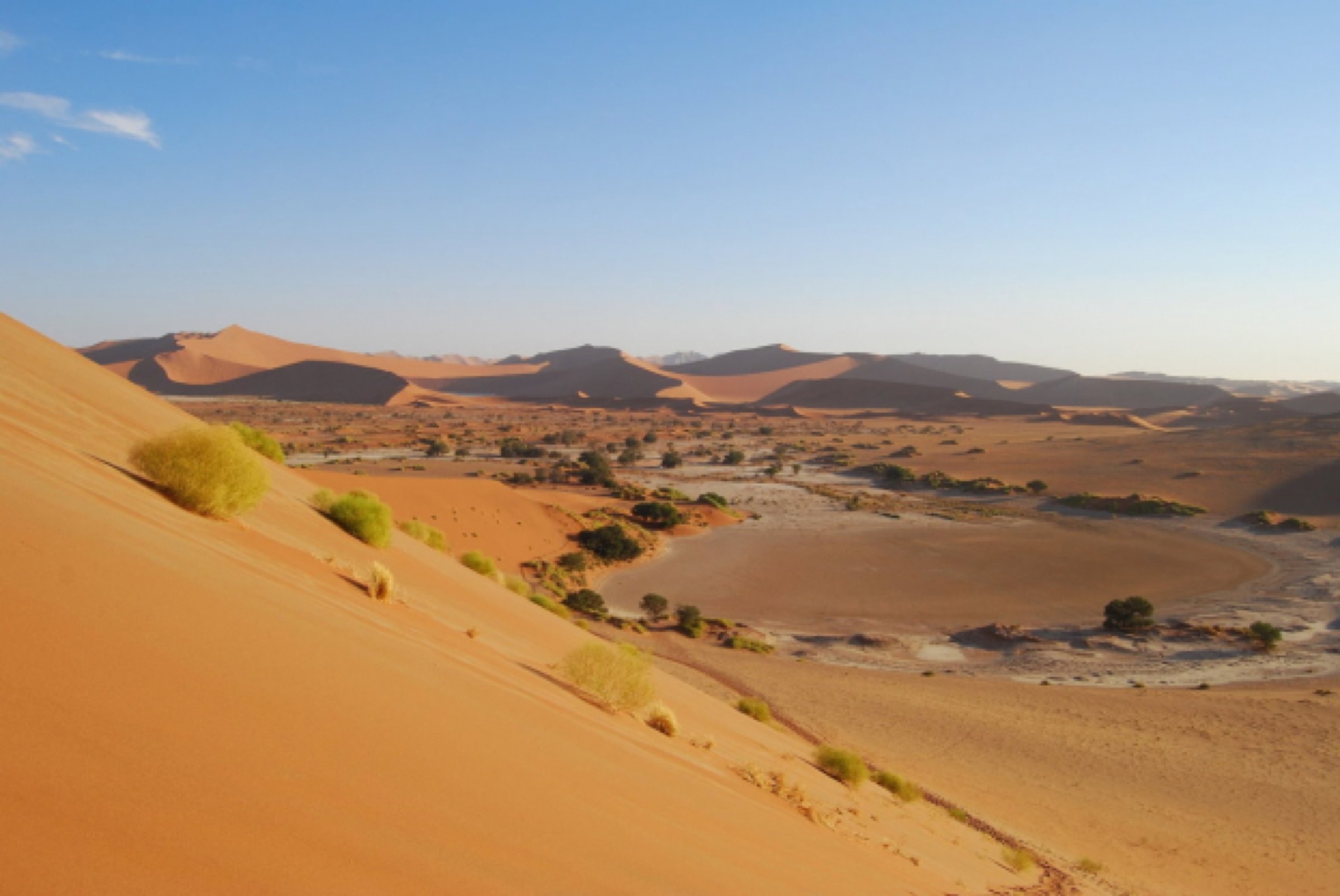Sossusvlei dunes in evening light